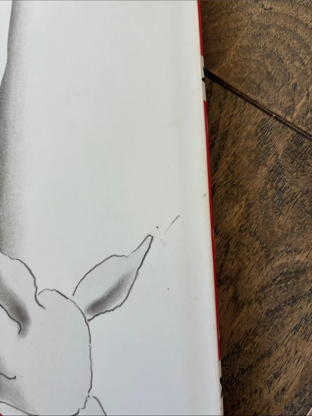 Olivia Hardcover Picture Book — Red Dress Illustration